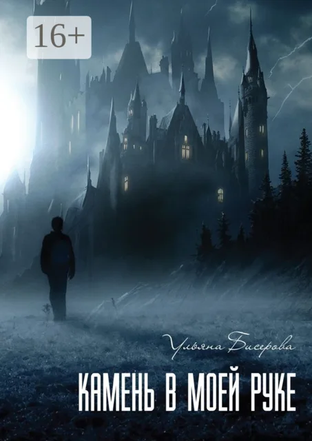Обложка книги «Камень в моей руке»